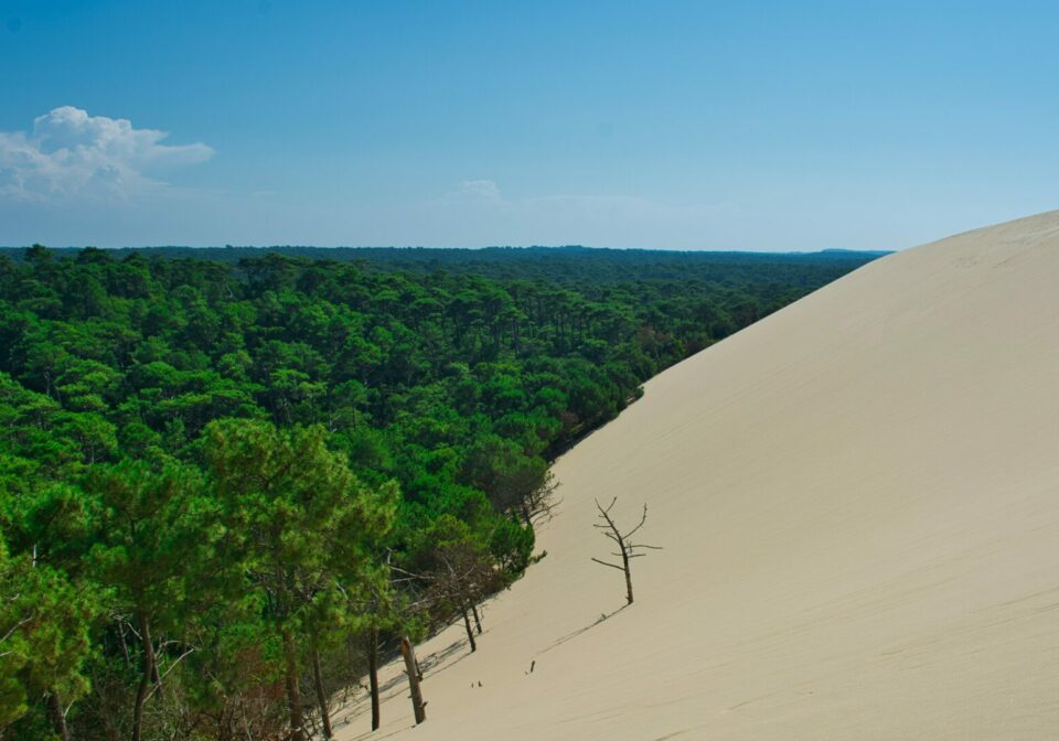 Focus régional : construire sa villa sur le Bassin d’Arcachon